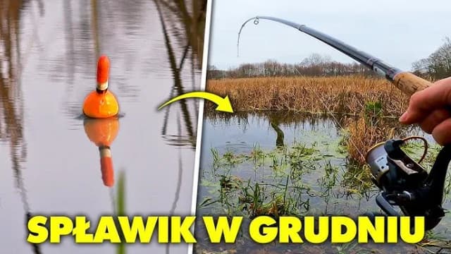 Jak łowić na spławik w jeziorze: sprawdzone techniki i porady