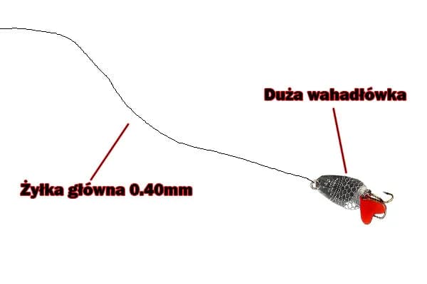 Najlepsze przynęty na suma z gruntu, które przynoszą efekty wędkarskie